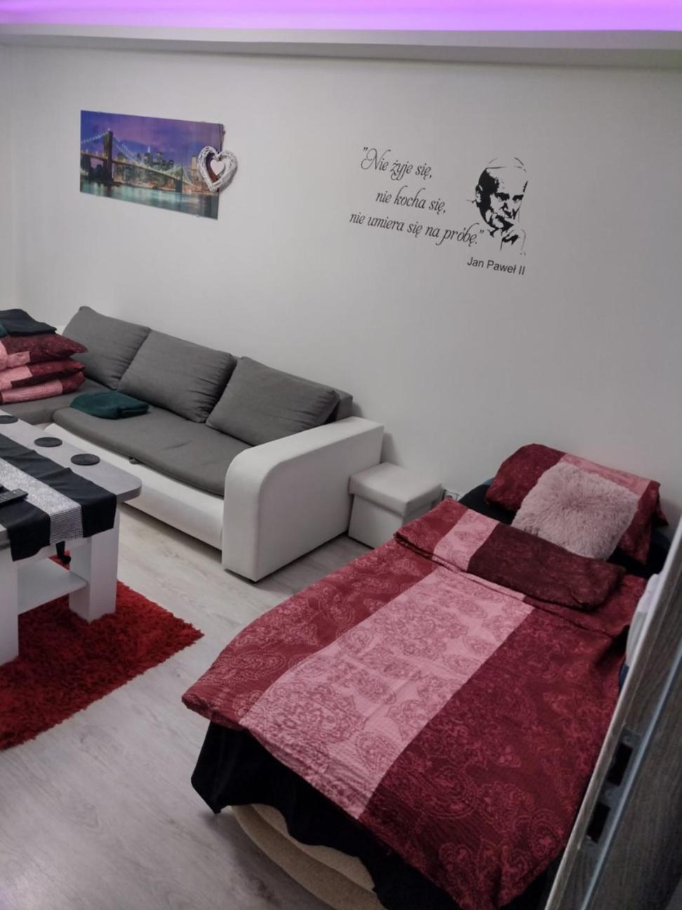 פז'מיסל Apartament Premium מראה חיצוני תמונה
